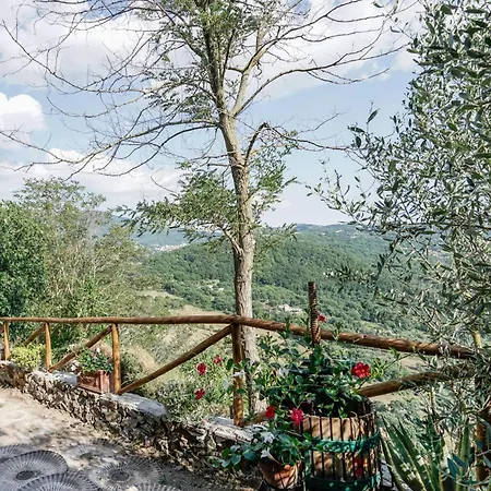 C'era Volta In Mlaterone *