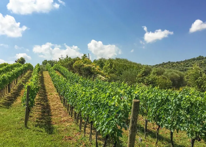 C'era Volta In Mlaterone Montelaterone